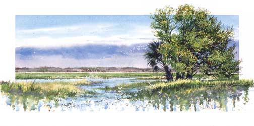 Click to return to the "Landscapes & Seascapes" page.
