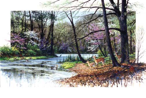 Click to return to the "Original Paintings" page.